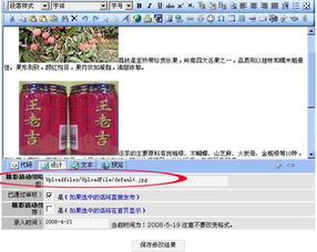 網(wǎng)站建設(shè)的專業(yè)選擇 從國(guó)外空間租用到圖片顯示問題的全面解析